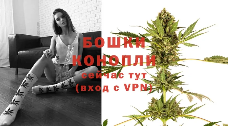 Канабис White Widow  купить наркоту  Мышкин 